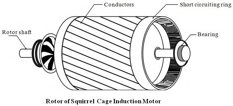 squirrel-cage-rotor-three-phase-induction-motor-electrical